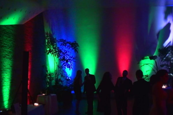 Multicolored lighting at a wedding