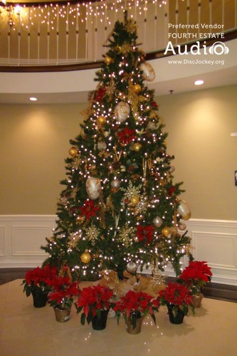 Tuscany Falls Christmas Tree